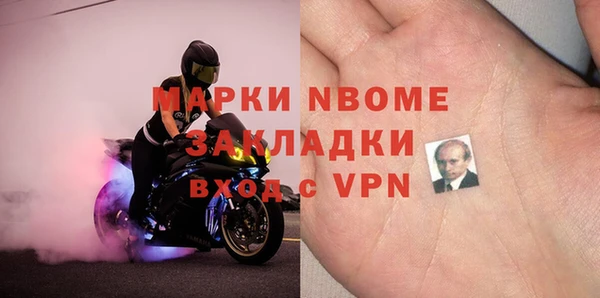 молекула духа Новозыбков