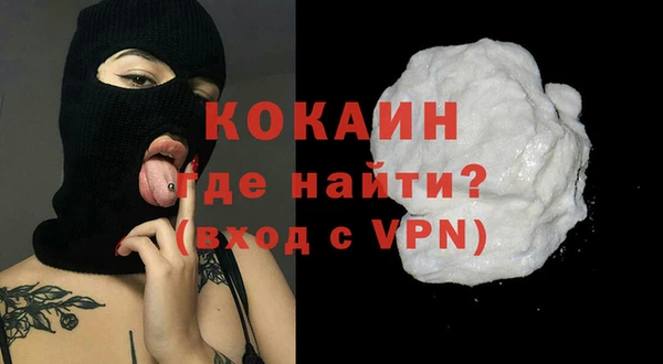 молекула духа Новозыбков