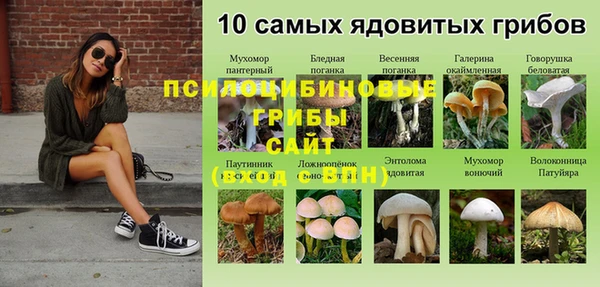 шишки Нея