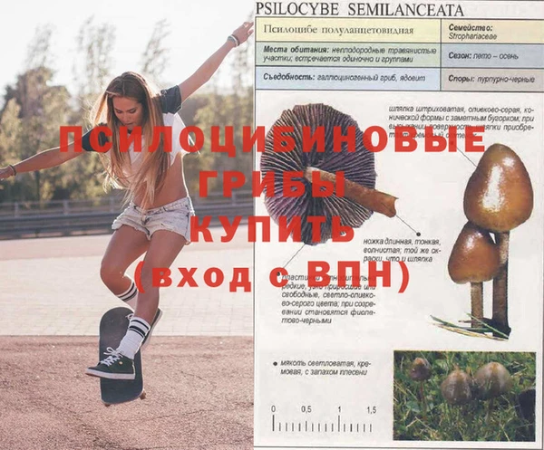 гашиш Нефтекумск
