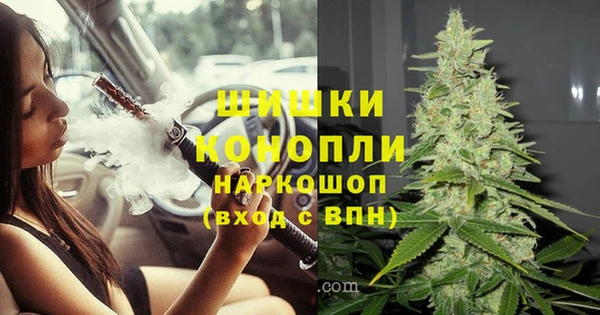 бошки Новодвинск