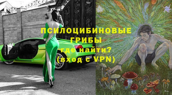 шишки Нея