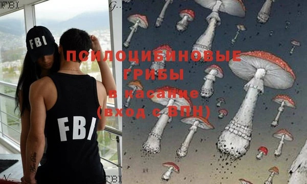 молекула духа Новозыбков