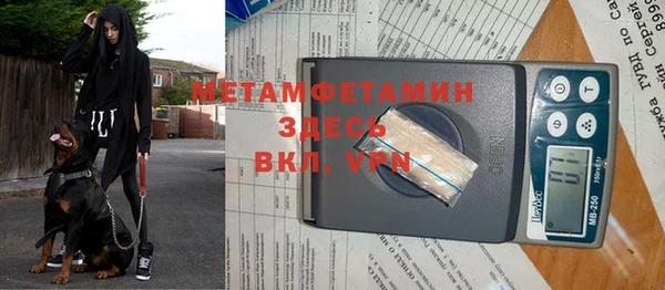 шишки Нея