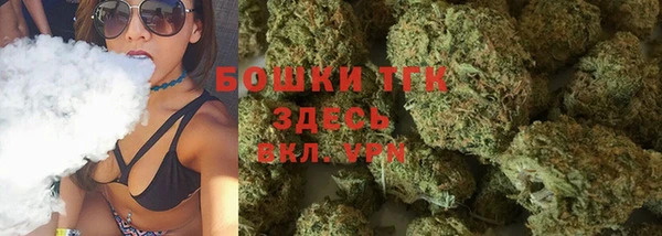 шишки Нея