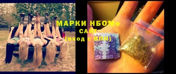 шишки Нея